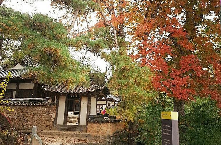 Okyeon Jeongsa Bed and Breakfast Andong Exteriör bild