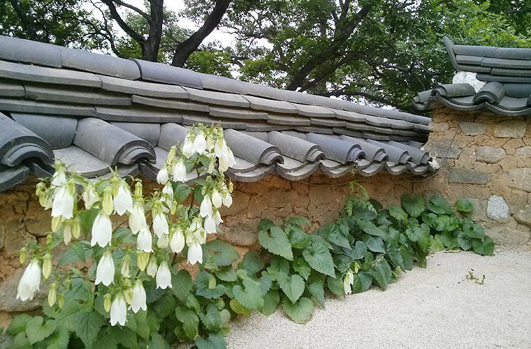 Okyeon Jeongsa Bed and Breakfast Andong Exteriör bild