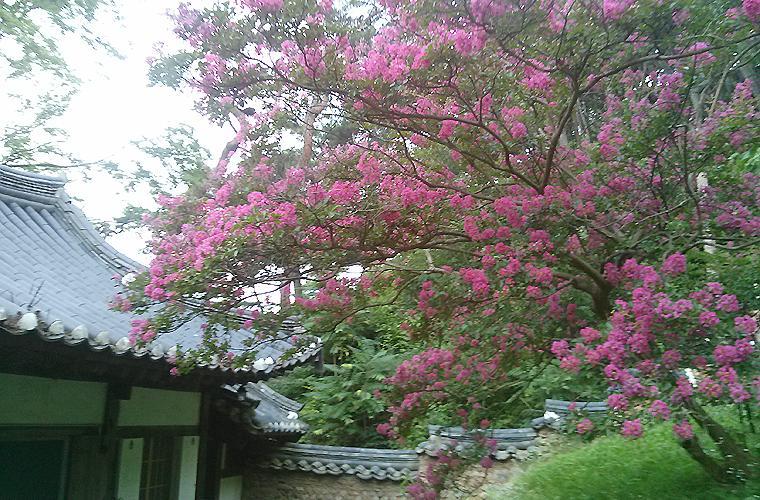 Okyeon Jeongsa Bed and Breakfast Andong Exteriör bild