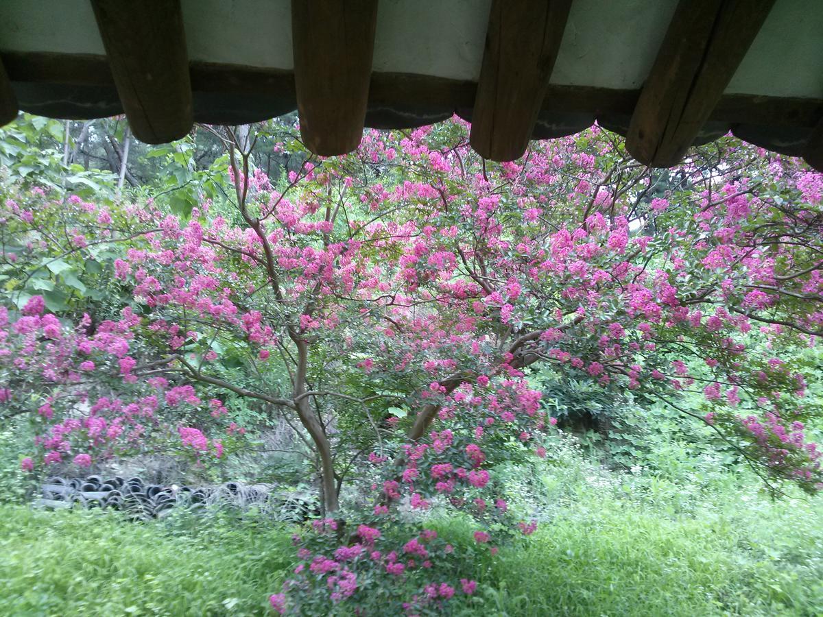 Okyeon Jeongsa Bed and Breakfast Andong Exteriör bild
