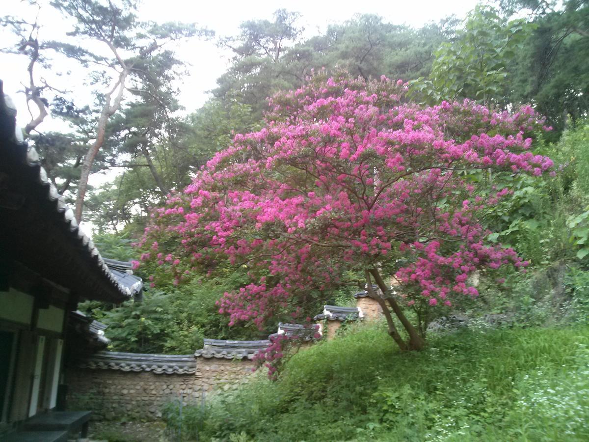 Okyeon Jeongsa Bed and Breakfast Andong Exteriör bild